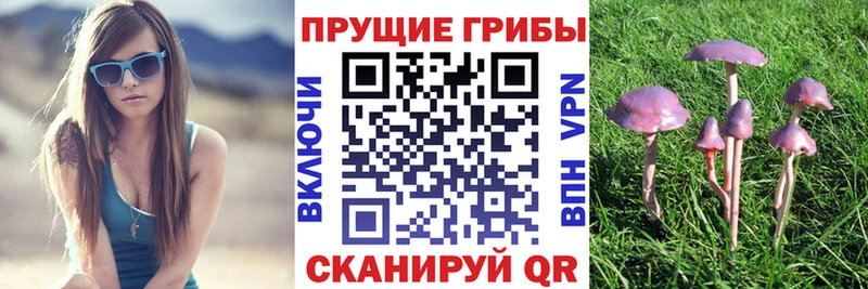 Псилоцибиновые грибы GOLDEN TEACHER  купить закладку  Энгельс 